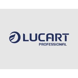 Lucart Professional
